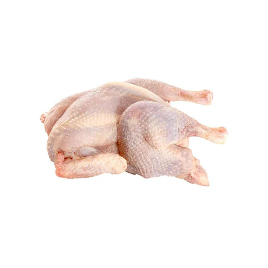 Frozen Food