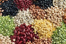 Beans/seeds/Nuts