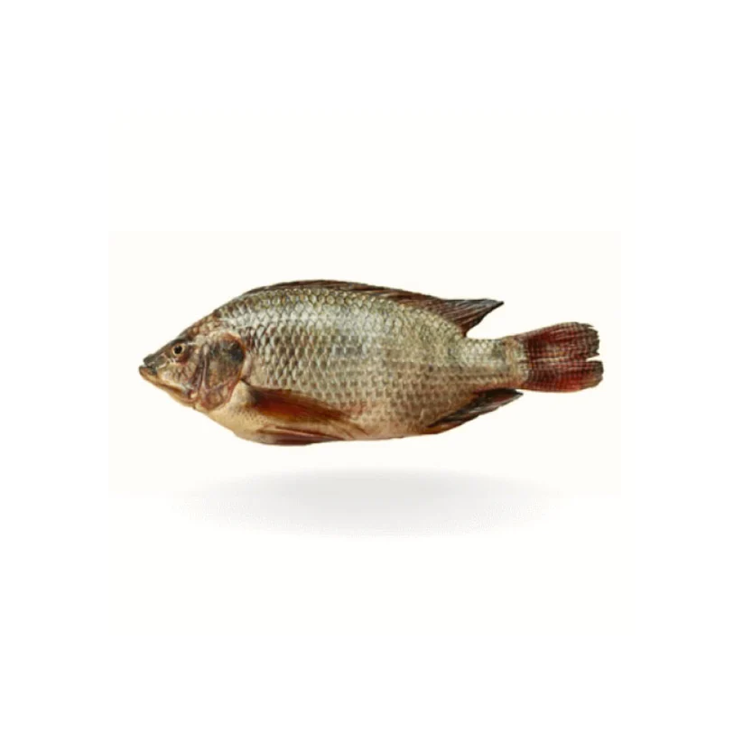 Dry Fish/Leaves