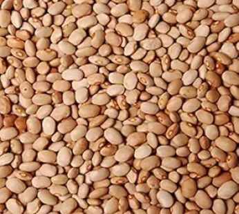 Honey Bean 10lb