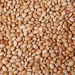 Honey Beans 3.5lb