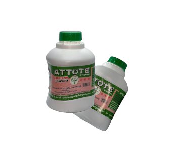 Attote Diabete