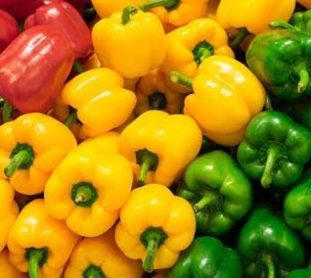Fresh Bell Peppers