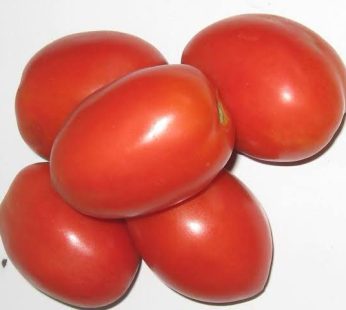 Fresh Tomatoes
